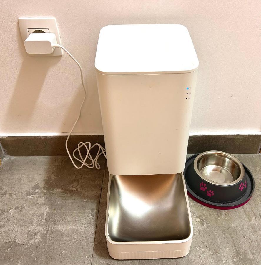 포드고리차 Flat Mara, Pet Friendly 아파트 외부 사진